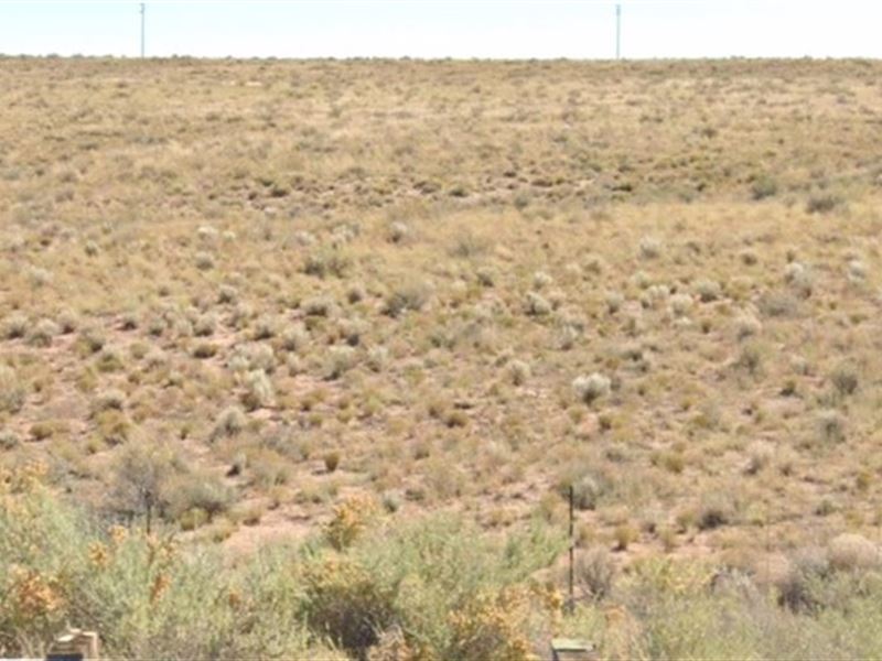 Let's Go Camping : Adamana : Apache County : Arizona
