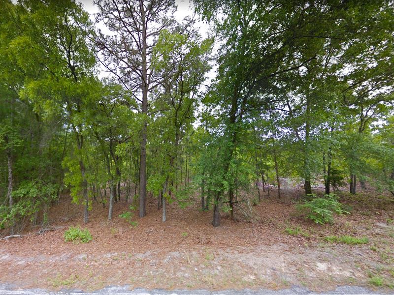 5.58 Acres, NO HOA : Rembert : Sumter County : South Carolina