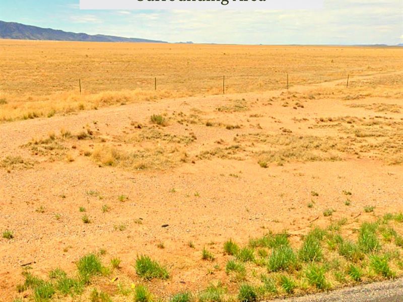 5.51 Acres Only $1 Down, $299/Mo : Belen : Socorro County : New Mexico