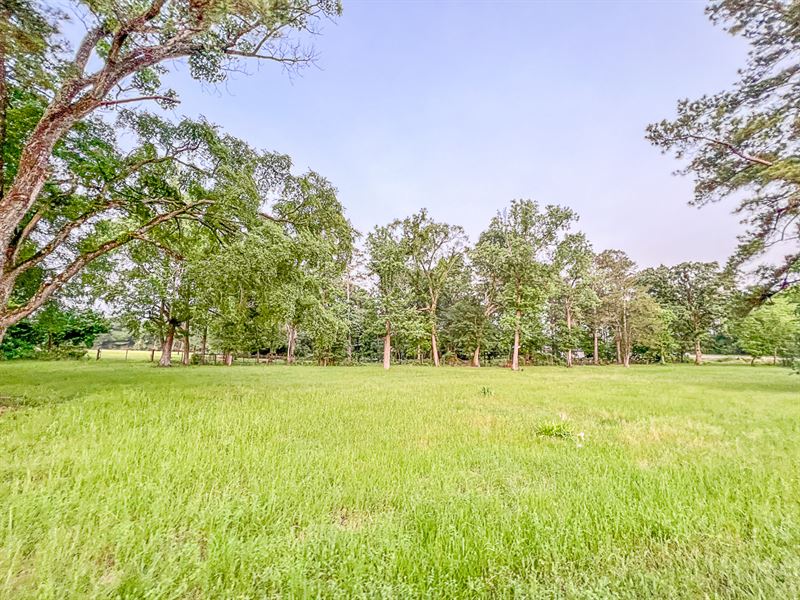 Seller Financing, 1.24 Acre Hwy : Huntsville : Walker County : Texas
