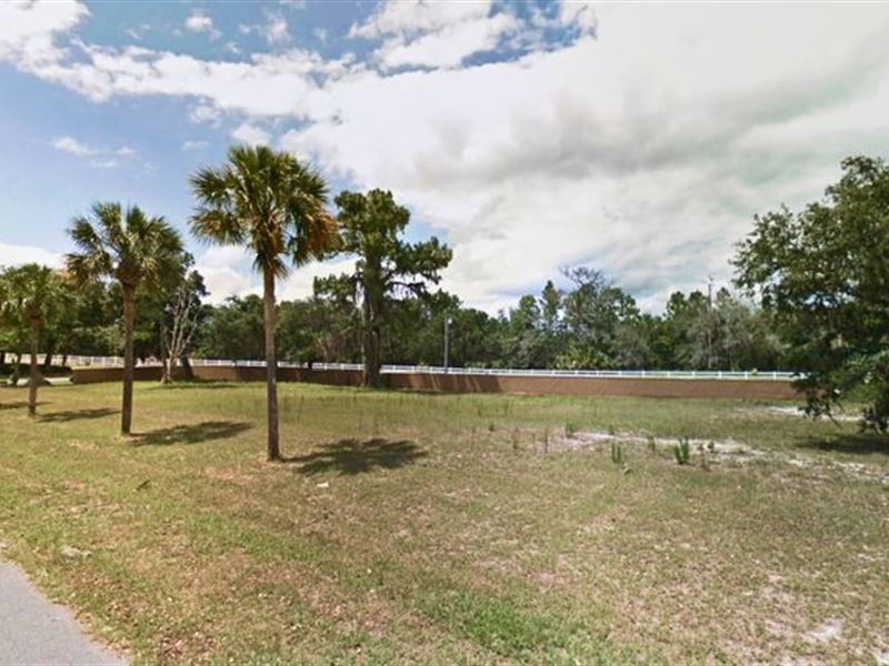 1.06 Ac in Inverness, Fl, Ideal : Inverness : Citrus County : Florida