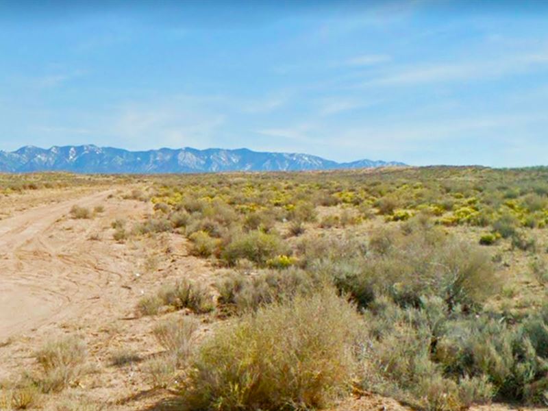 $600 Off The Cash Price, 0.25 Acre : Los Lunas : Valencia County : New Mexico