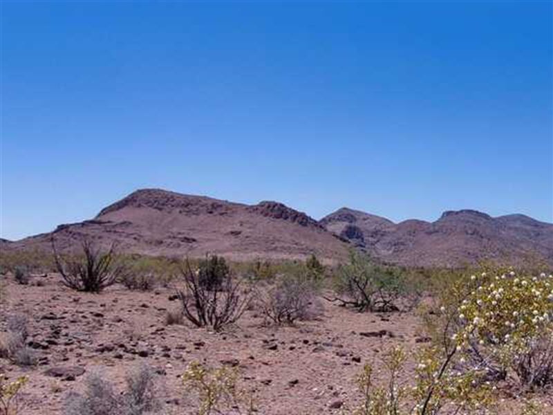 Own Your Personal Desert Haven : Golden Valley : Mohave County : Arizona