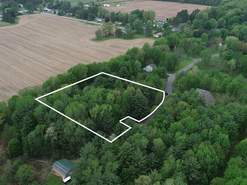 Building Lot in a Quiet Town : Sullivan : Madison County : New York