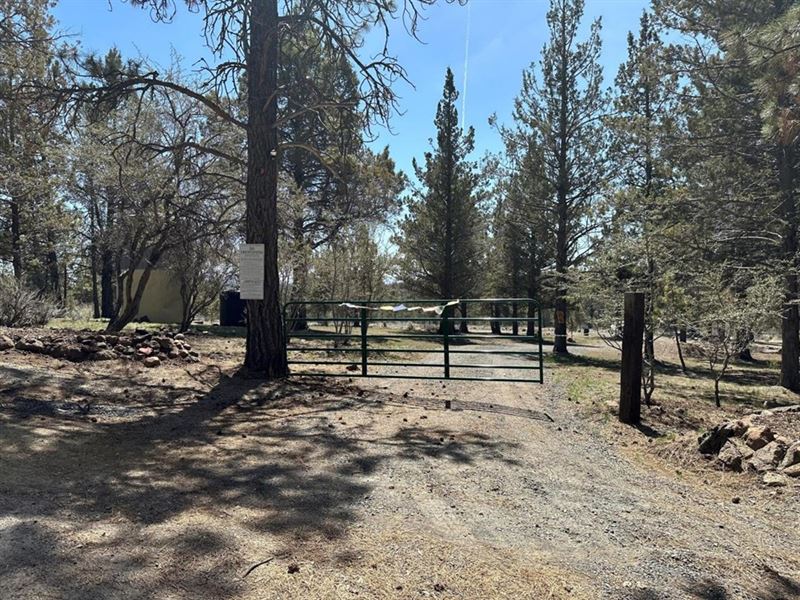 Sunny Southern Facing Property : Bonanza : Klamath County : Oregon
