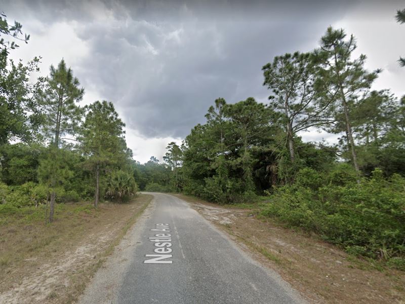 Owner Financed with $500 Down : Lehigh Acres : Lee County : Florida