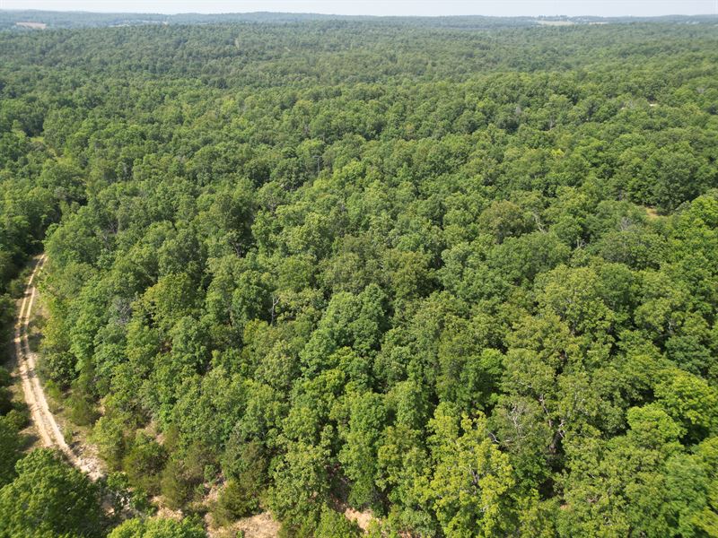Choose Between Golf and The Lakes : Horseshoe Bend : Izard County : Arkansas