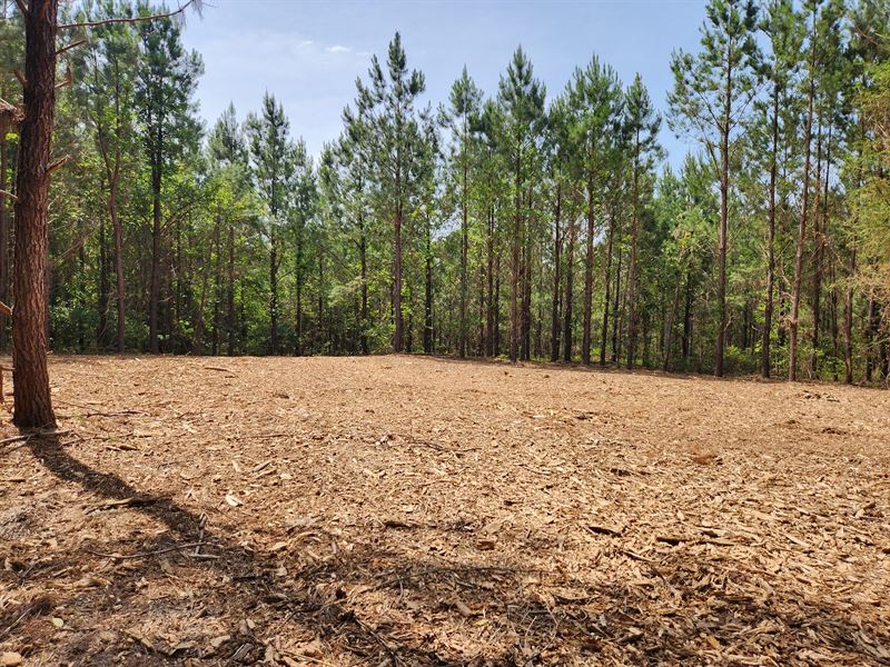Coopers Area Homesites : Milledgeville : Baldwin County : Georgia