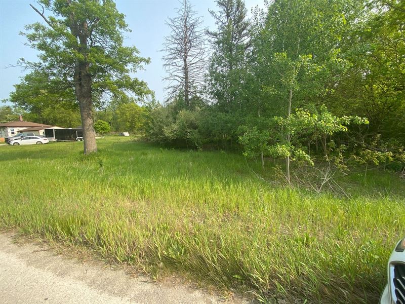 Quiet 1/2 Acre in Sumpter Twp, MI : New Boston : Wayne County : Michigan