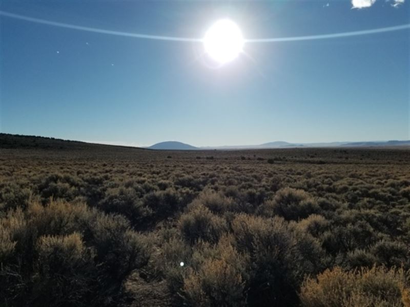 Invest in 5 Acres Only $160/Mo : San Luis : Costilla County : Colorado