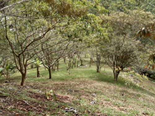 Eco Rural Fantasy : Turrialba : Costa Rica