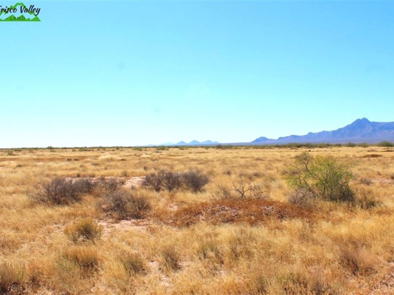 An Acre of Wealth, Only $100/Mo : Deming : Luna County : New Mexico