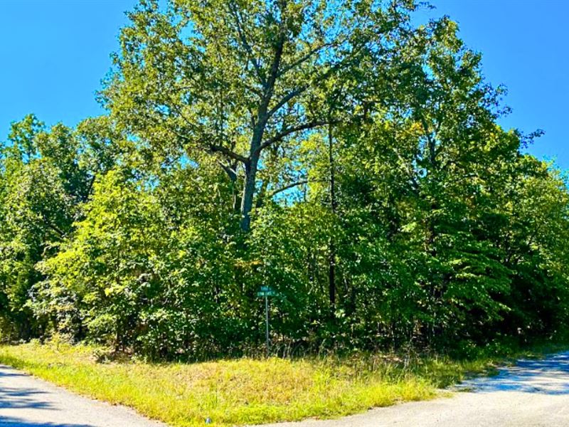 Corner Lot, Paved Road on Both Side : Horseshoe Bend : Izard County : Arkansas