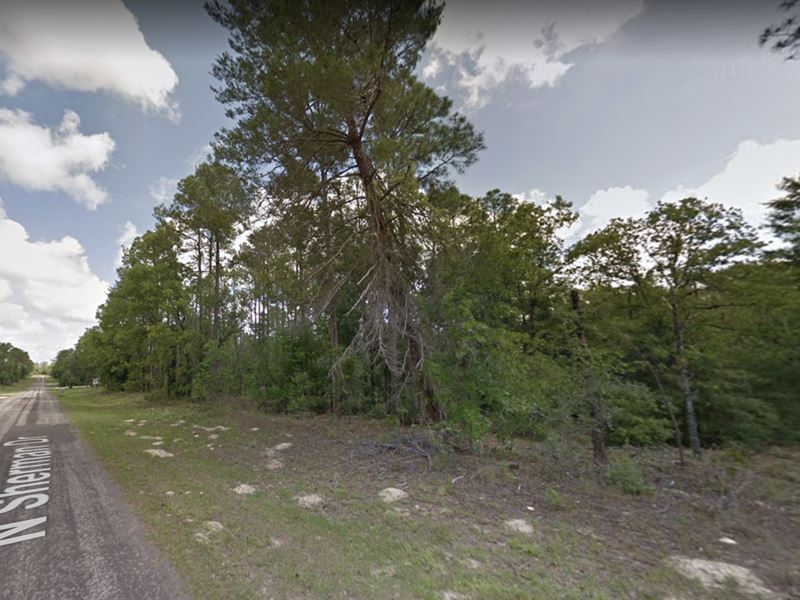 .4 Acre for Sale in Citrus Springs : Citrus Springs : Citrus County : Florida