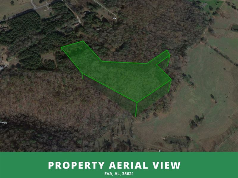 9.1 Ac Lot in Morgan County, AL : Eva : Morgan County : Alabama