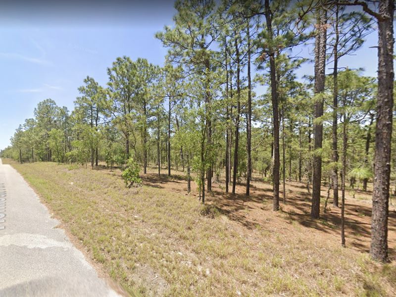 1 Acre for Sale in Dunnellon, FL : Dunnellon : Marion County : Florida