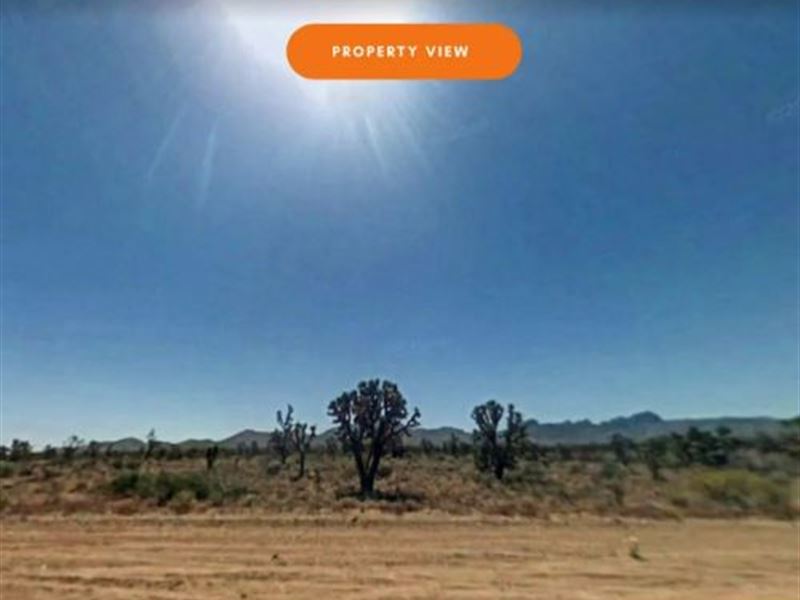 Peace and Quiet, 1.07 Acre Lot : Dolan Springs : Mohave County : Arizona