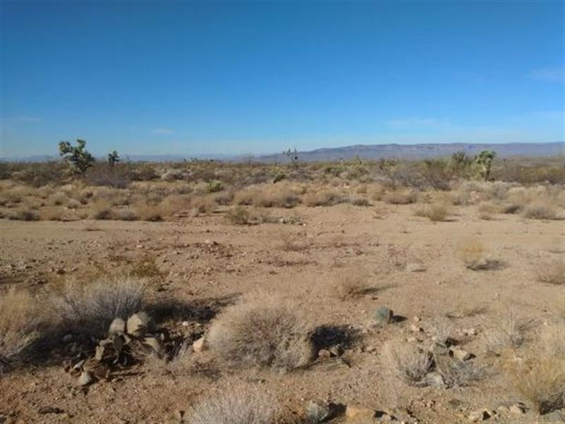 1 Acre in Yucca Valley Property : Yucca : Mohave County : Arizona
