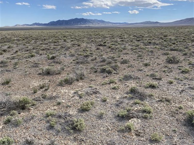 Park Your RV for Recreation : Elko : Elko County : Nevada