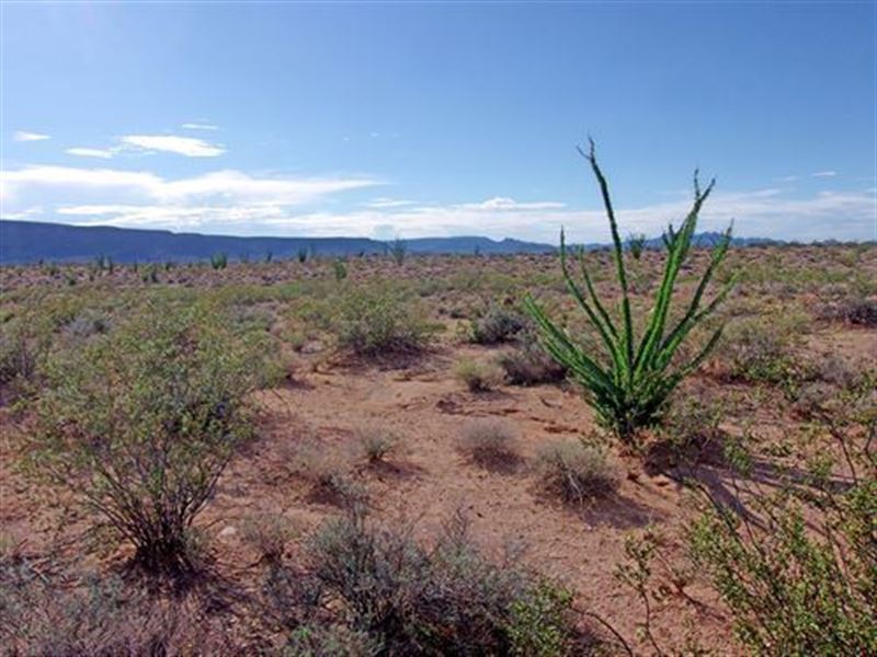 Yucca Offroad Basecamp, EZ Payments : Yucca : Mohave County : Arizona