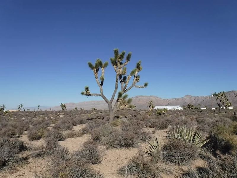 Save Big, Live Big, $275/Month : Meadview : Mohave County : Arizona