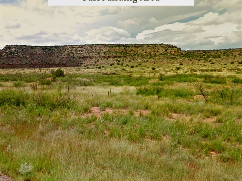 5 Acres Only $1 Down, $199/Mo : Garita : San Miguel County : New Mexico