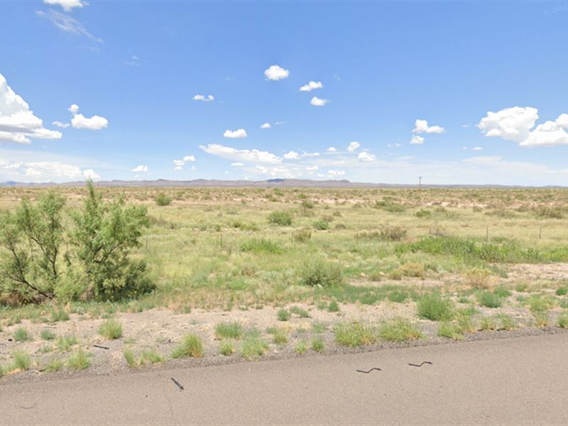 Oasis in The New Mexico Desert : Deming : Luna County : New Mexico