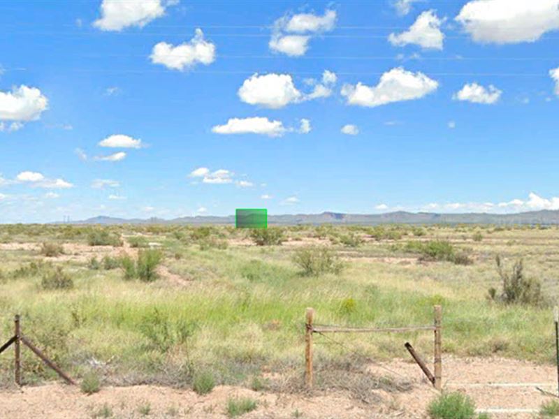 We Can't Price This Land Any Lower : Deming : Luna County : New Mexico