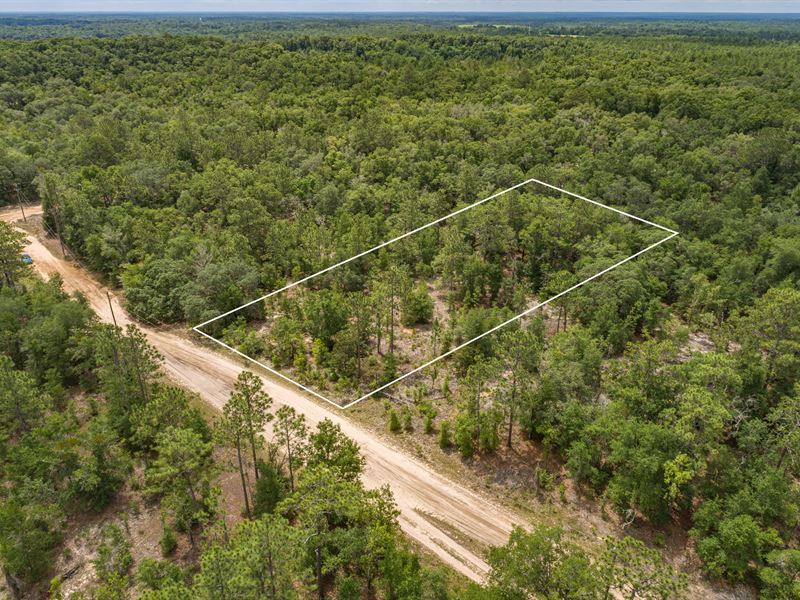 Secluded Floridian Oasis, 1.01 Ac : Interlachen : Putnam County : Florida