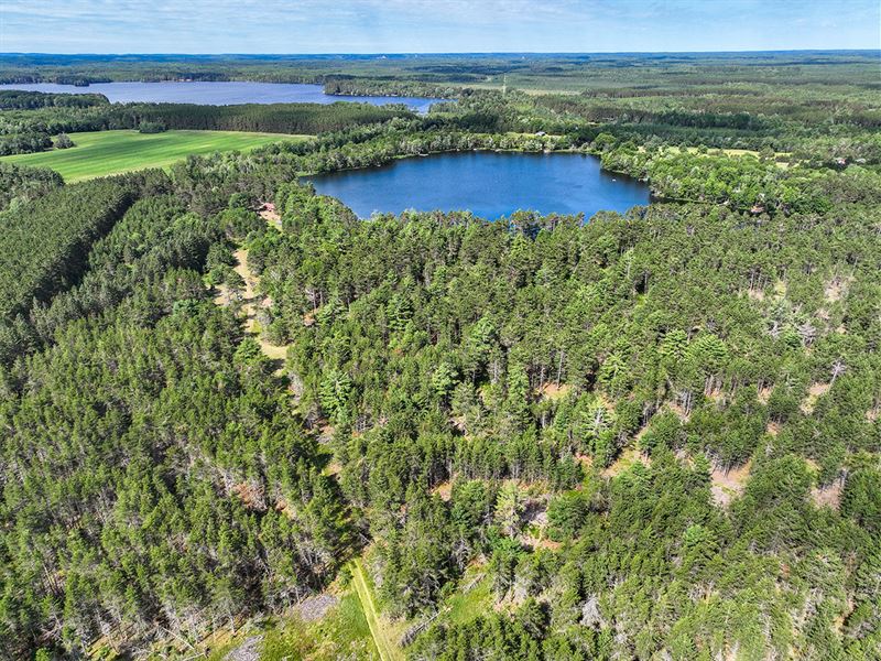 5.25 Acres Near Rhinelander & Lakes : Rhinelander : Oneida County : Wisconsin