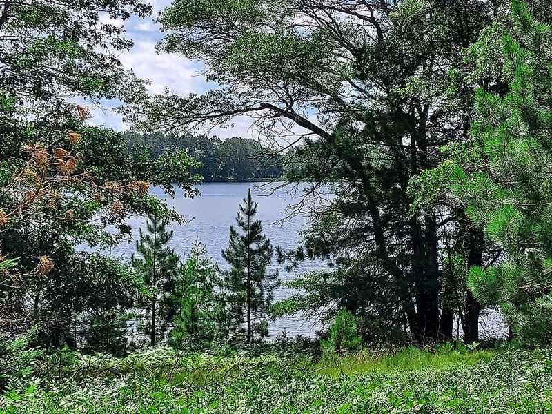 3.2 Acre Lakefront, Southern Views : Rhinelander : Oneida County : Wisconsin