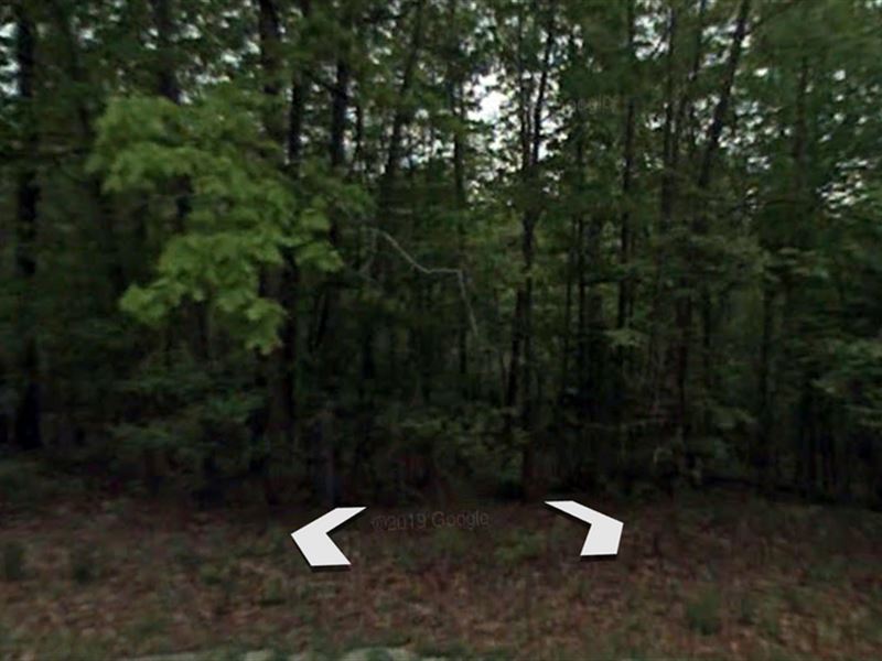 You'll Be Seeing Green, $100/Mo : Horseshoe Bend : Izard County : Arkansas