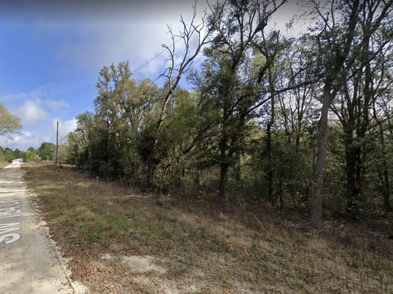 .22 Acre for Sale in Dunnellon, FL : Dunnellon : Marion County : Florida