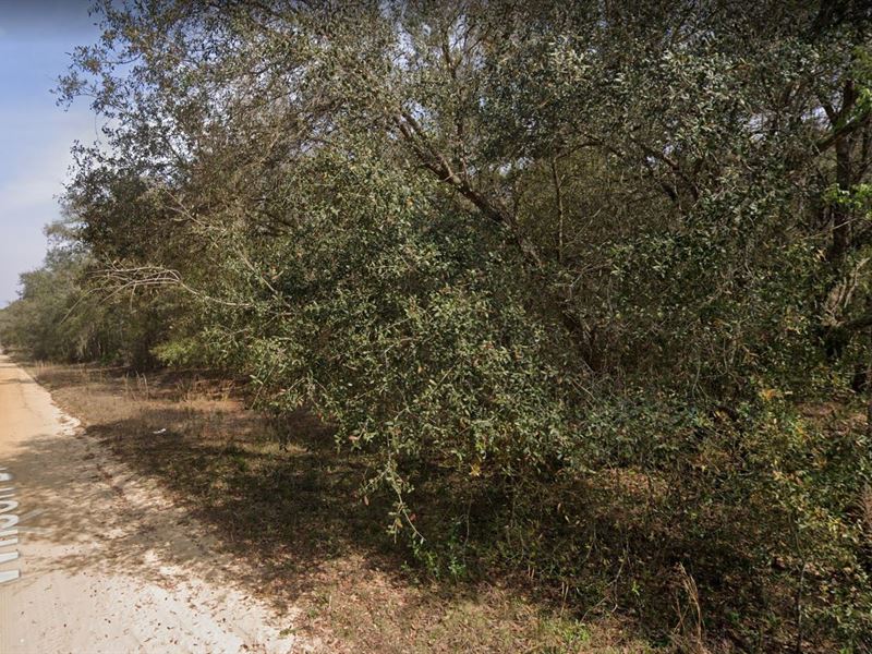 Live The Florida Dream for Less : Florida : Putnam County : Florida
