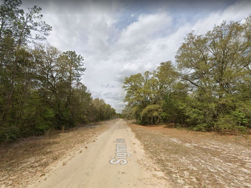 Escape to FL to a Fantastic Lot : Florida : Putnam County : Florida