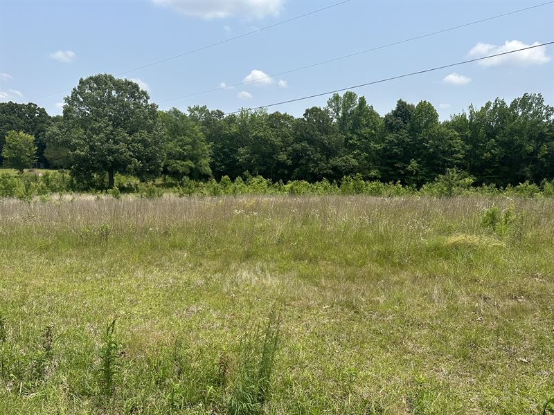3.45 Ac Homesite, Lafayette County : Oxford : Lafayette County : Mississippi