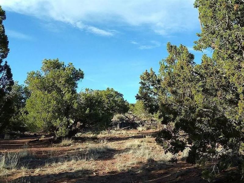 Snag The Ideal Life, $175/Mo : Snowflake : Navajo County : Arizona