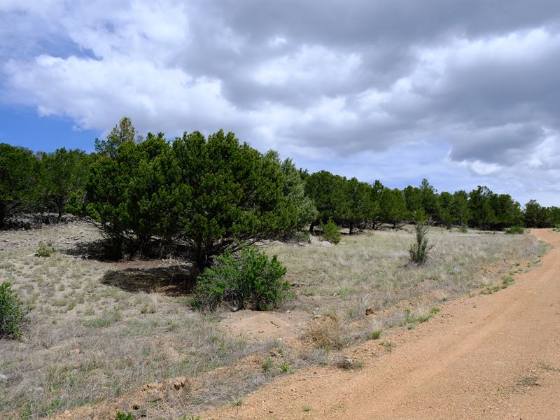Sunset Trail 5 Acre Parcel : Cotopaxi : Fremont County : Colorado