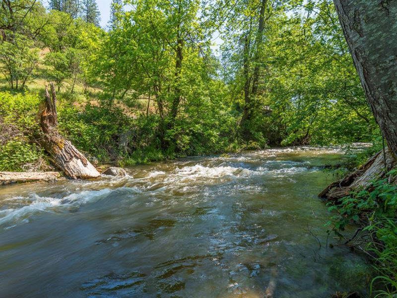 Camp Cowgirl : Jacksonville : Jackson County : Oregon