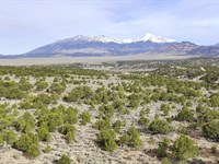 Mountain Views From This Treed Lot : Fort Garland : Costilla County : Colorado