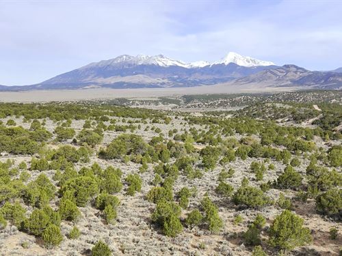 Mountain Views From This Treed Lot : Fort Garland : Costilla County : Colorado