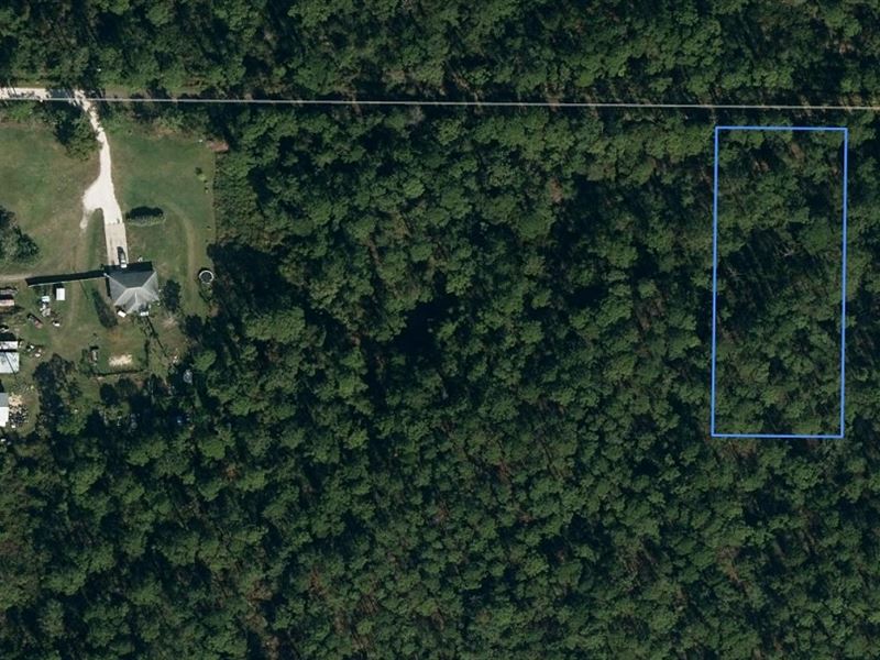 Large Single Family Residential Lot : Sebring : Highlands County : Florida
