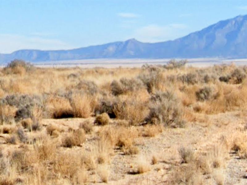 $500 Savings, 60 Days Same as Cash : Los Lunas : Valencia County : New Mexico