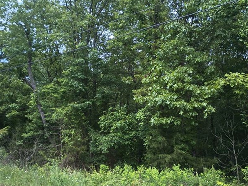Rare Double Lot Perfect for Cabin : Horseshoe Bend : Izard County : Arkansas