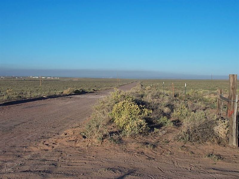 1.25 Acres in Navajo County, AZ : Sun Valley : Navajo County : Arizona