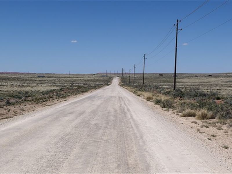 Independence Day Special, Must See : Holbrook : Apache County : Arizona