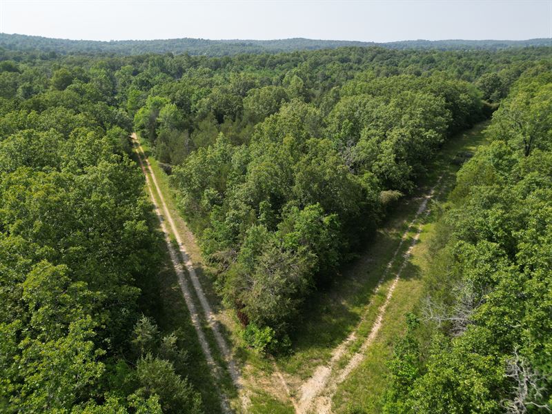 Build Your Dream Home by The Lakes : Horseshoe Bend : Izard County : Arkansas