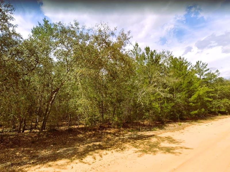 Convenient Power Pole Nearby : Interlachen : Putnam County : Florida