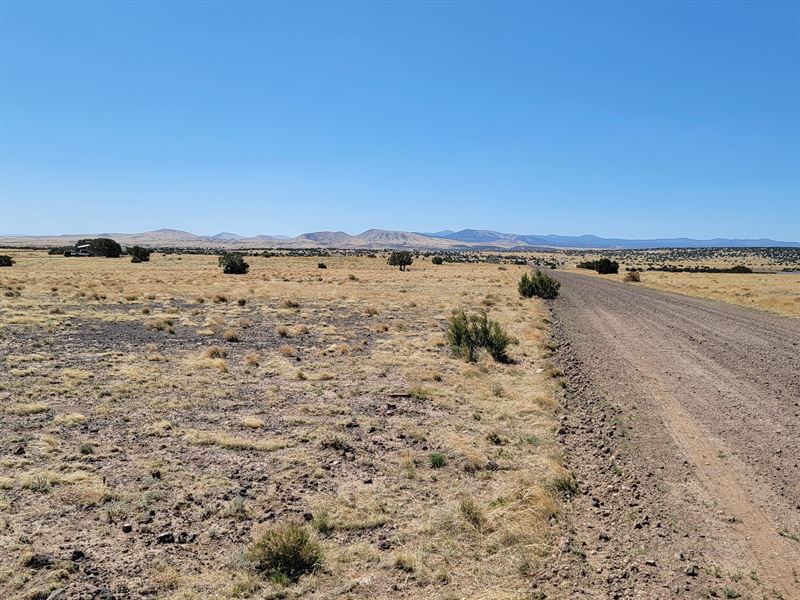 Come and Escape The City : Concho : Apache County : Arizona