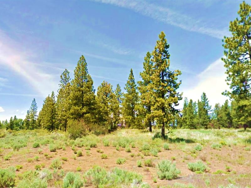 New Beginnings in Klamath County : Sprague River : Klamath County : Oregon